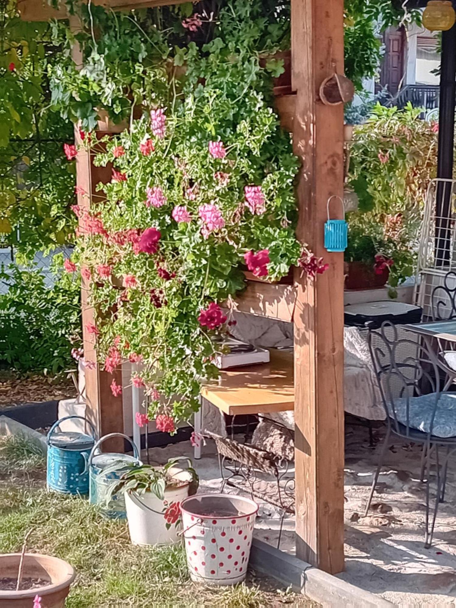 Rose Room 40M2 With Terrace 25M2 In Greeny Area For 4 Person Liubliana Exterior foto
