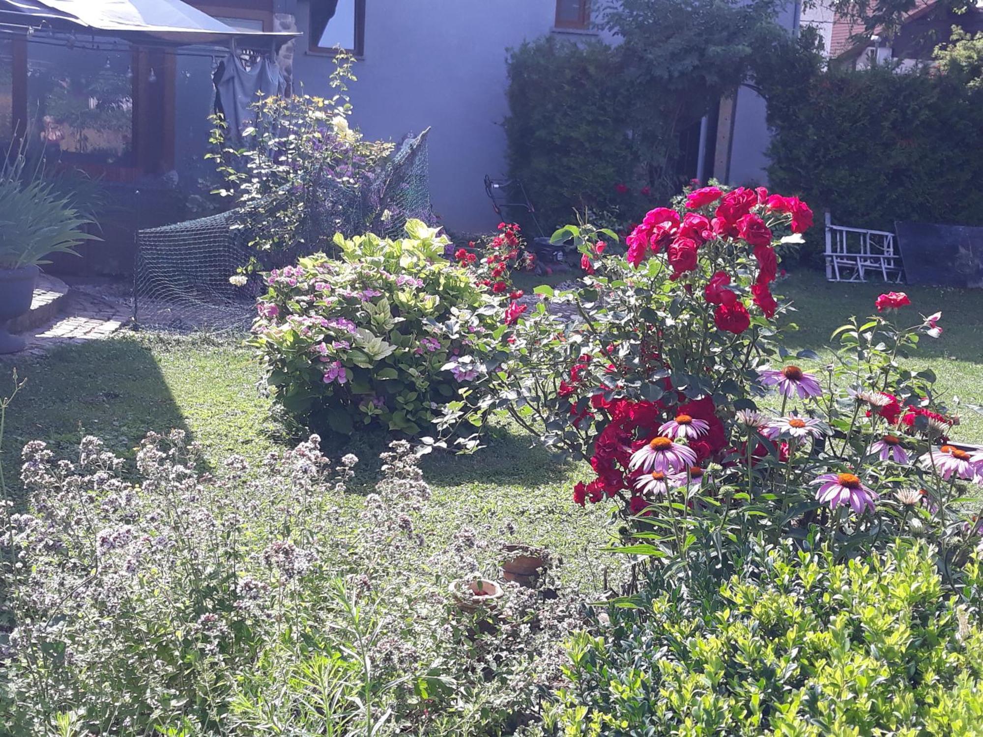 Rose Room 40M2 With Terrace 25M2 In Greeny Area For 4 Person Liubliana Exterior foto